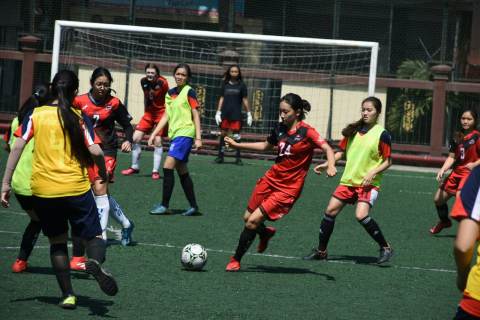 浩瀚体育 · 体育栏目服务配图（示意）